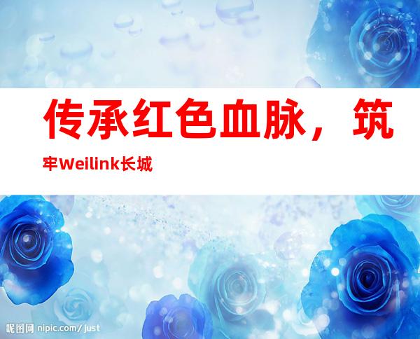 传承红色血脉，筑牢Weilink长城